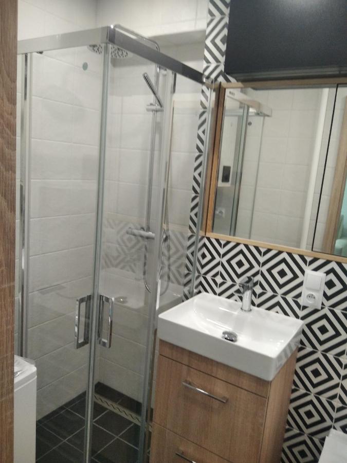 Apartament Zdroj بوسكوزدروي المظهر الخارجي الصورة