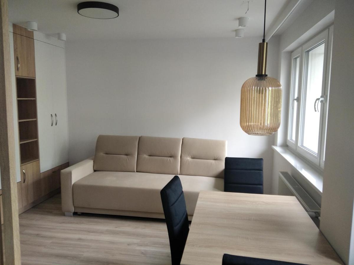 Apartament Zdroj بوسكوزدروي المظهر الخارجي الصورة
