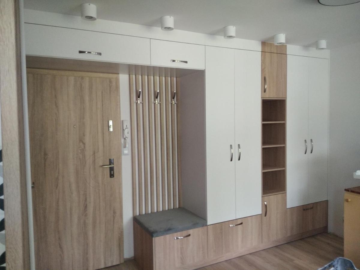 Apartament Zdroj بوسكوزدروي المظهر الخارجي الصورة